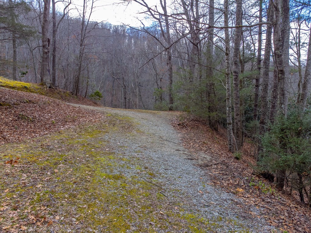 3808 Walnut Creek Rd