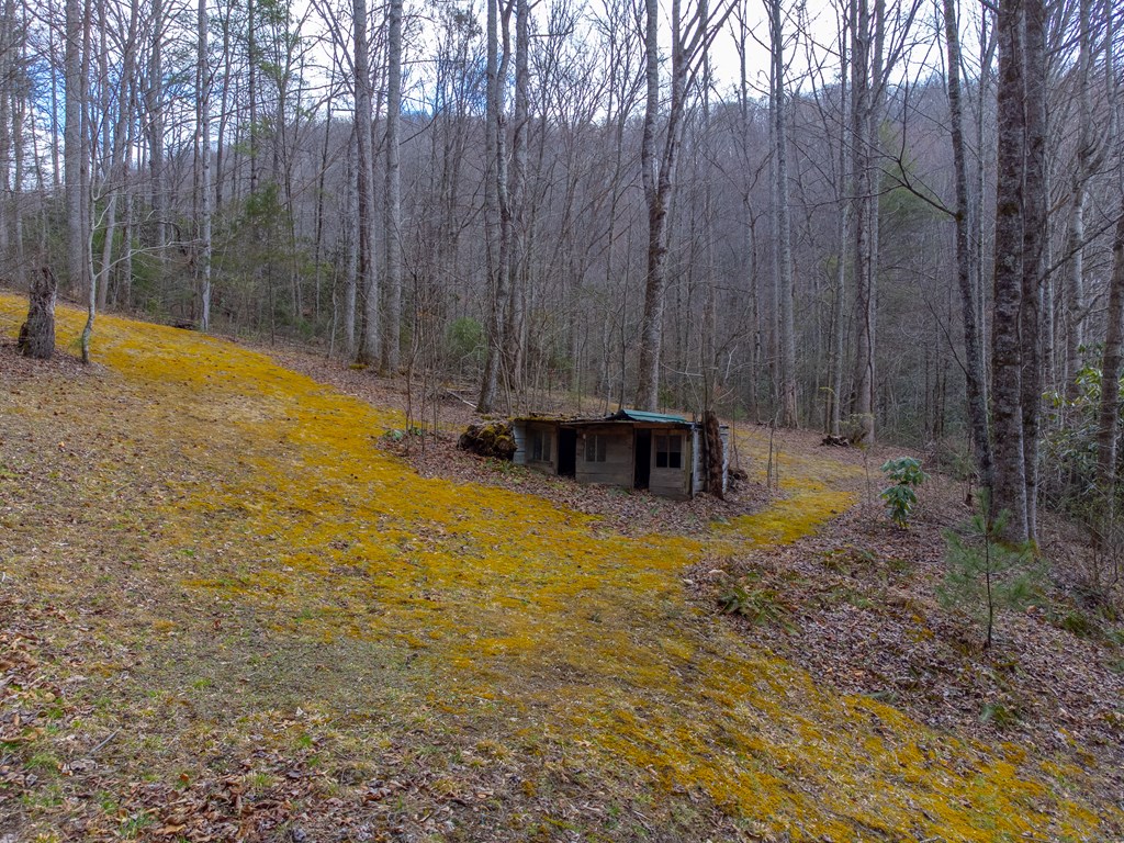 3808 Walnut Creek Rd