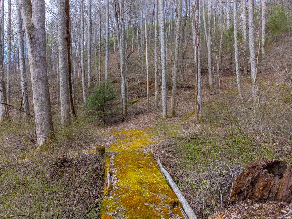 3808 Walnut Creek Rd