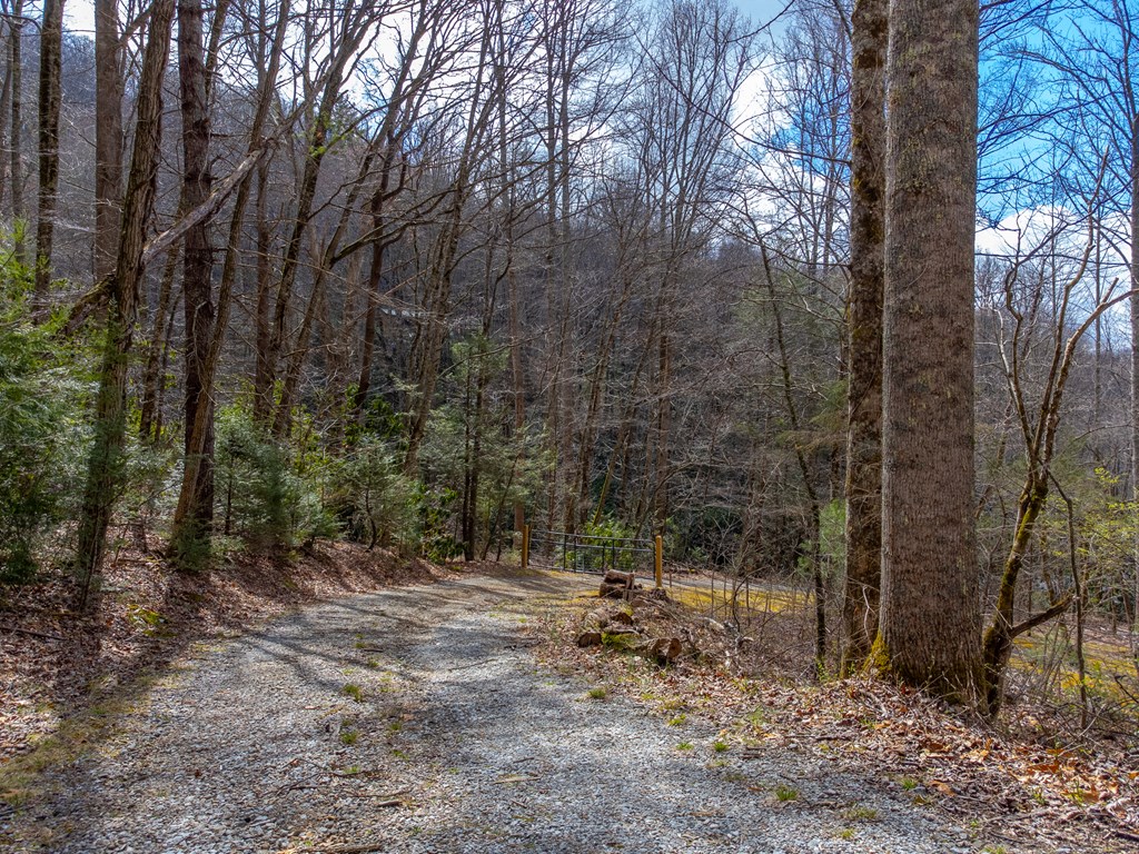 3808 Walnut Creek Rd