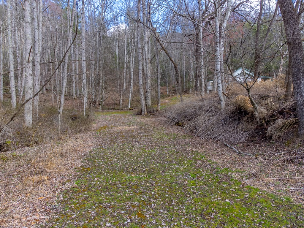 3808 Walnut Creek Rd