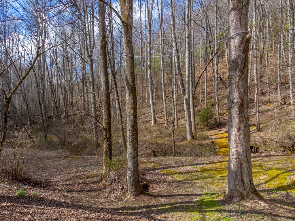 3808 Walnut Creek Rd