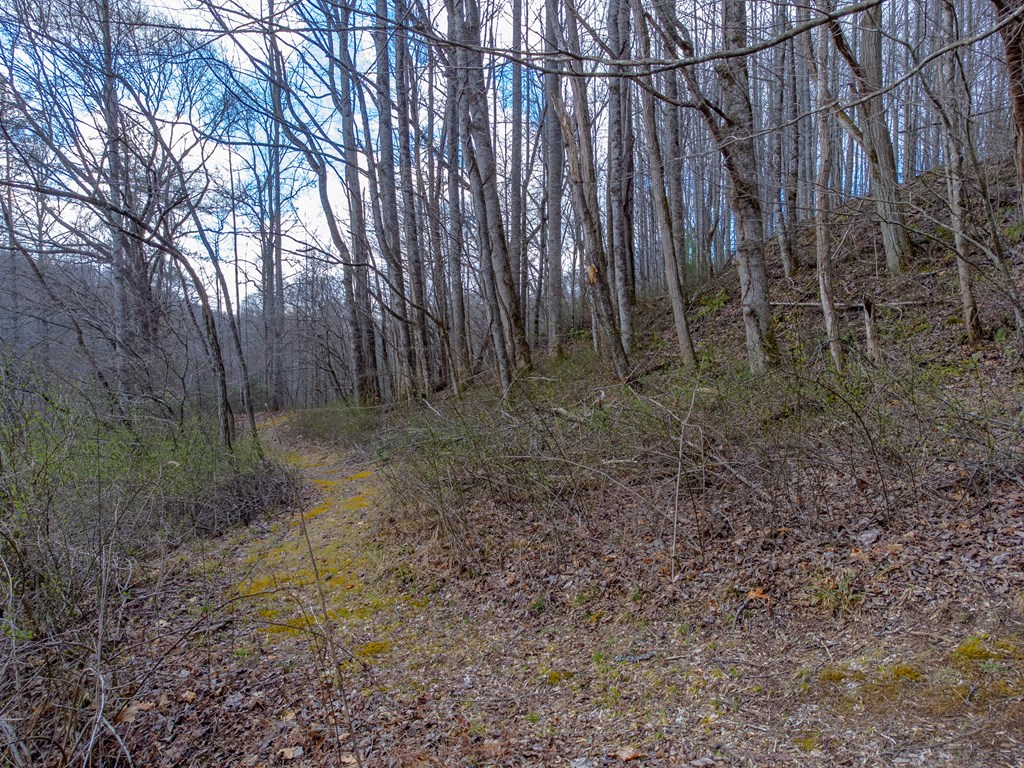 3808 Walnut Creek Rd