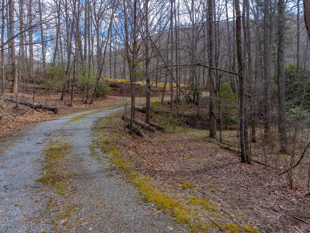 3808 Walnut Creek Rd