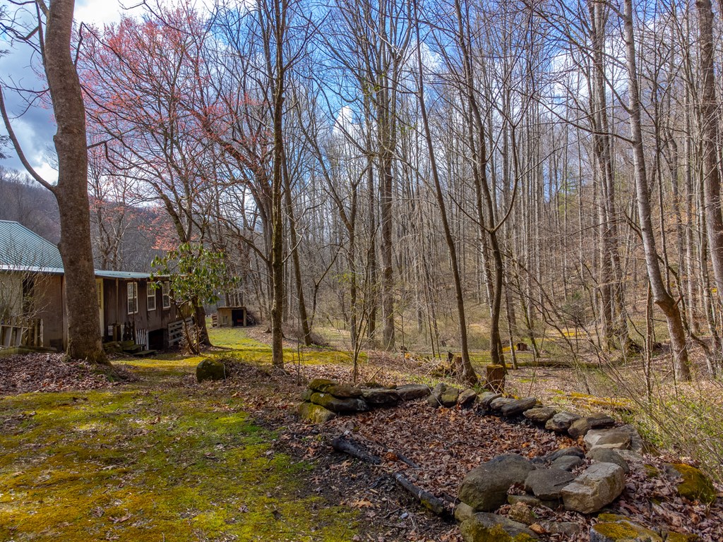 3808 Walnut Creek Rd