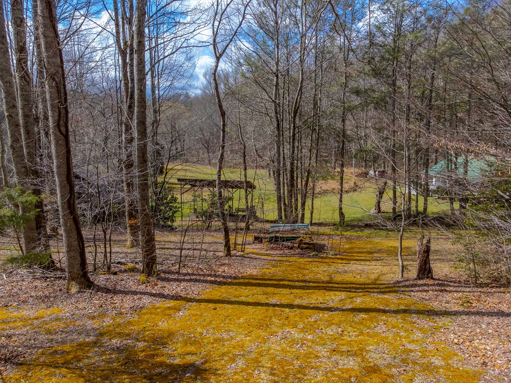 3808 Walnut Creek Rd