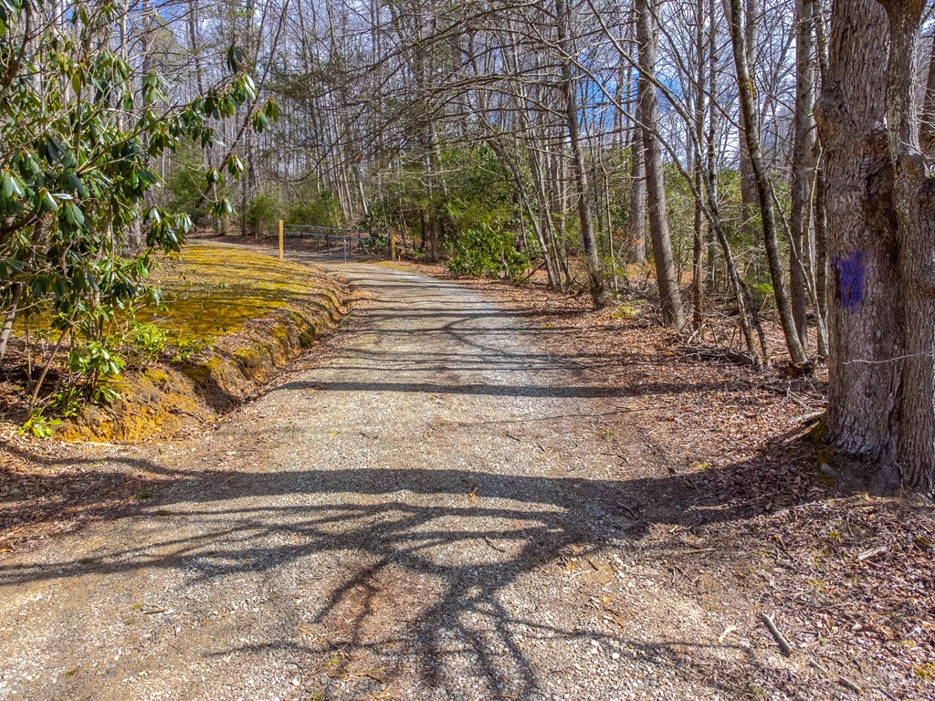 3808 Walnut Creek Rd