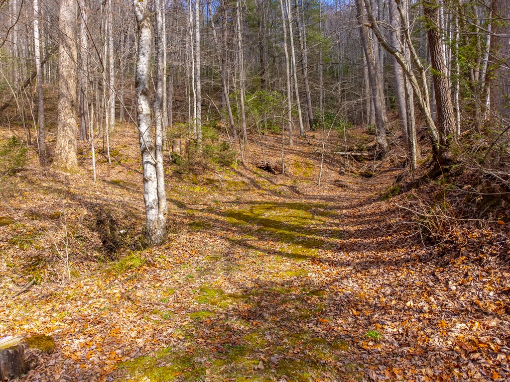 3808 Walnut Creek Rd