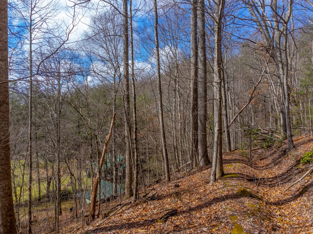 3808 Walnut Creek Rd