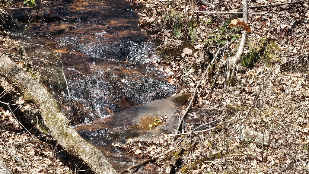 214 Beasley Mine Road