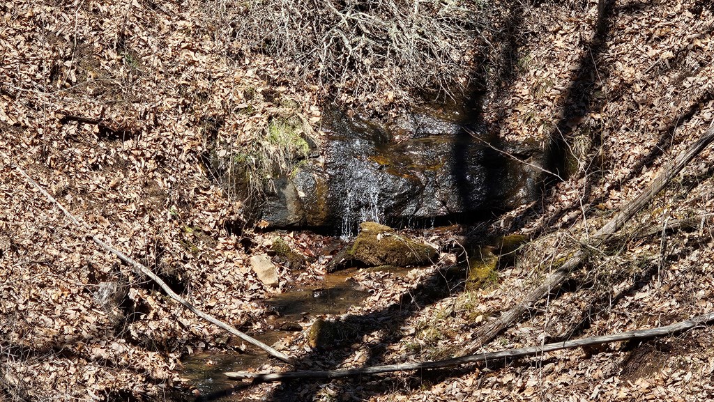 214 Beasley Mine Road