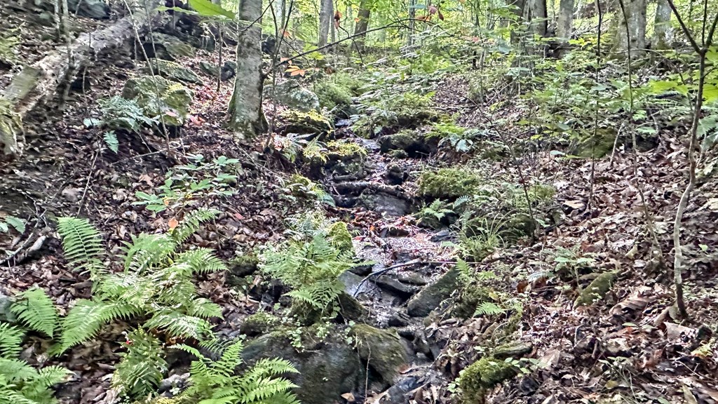 Lot 1 Christy Drive LOT 1