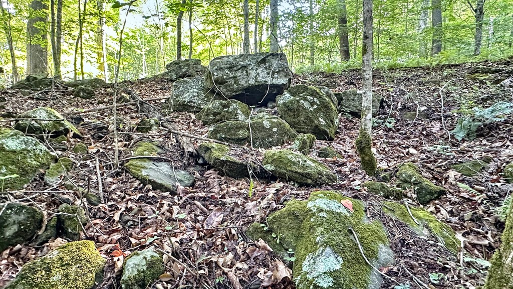 Lot 1 Christy Drive LOT 1