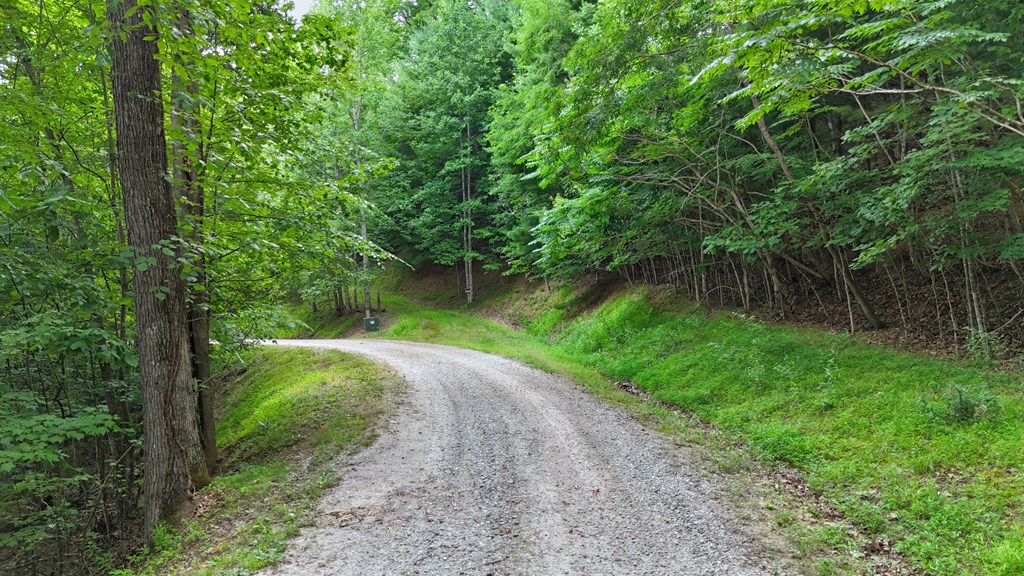 Lot 1 Christy Drive LOT 1