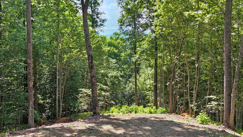 Lot 1 Christy Drive LOT 1