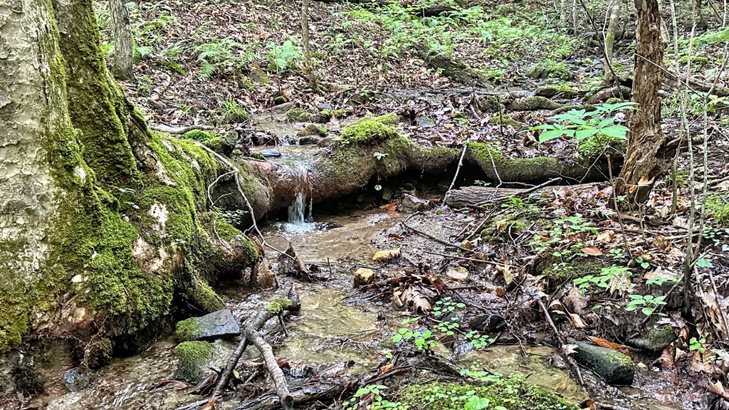 Lot 1 Christy Drive LOT 1