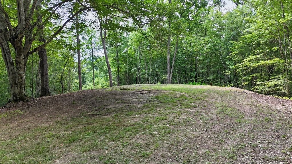 Lot 1 Christy Drive LOT 1