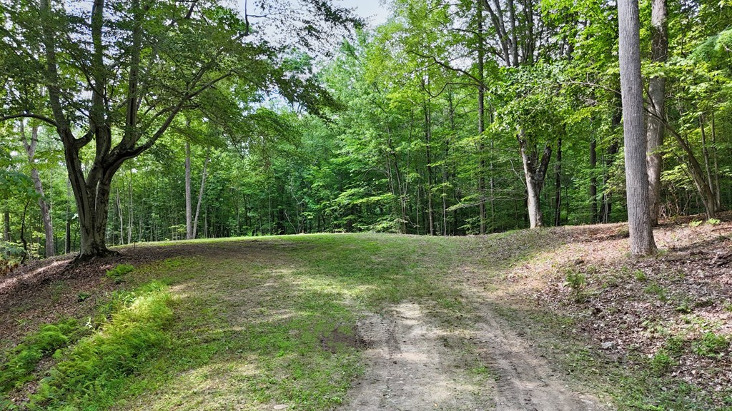 Lot 1 Christy Drive LOT 1