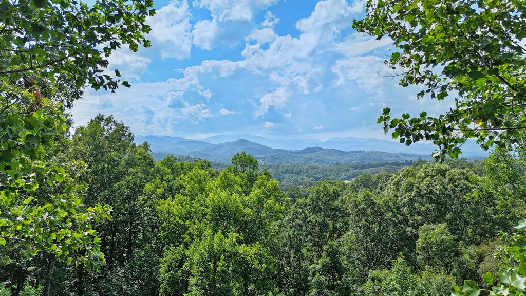 Lot 1 Christy Drive LOT 1