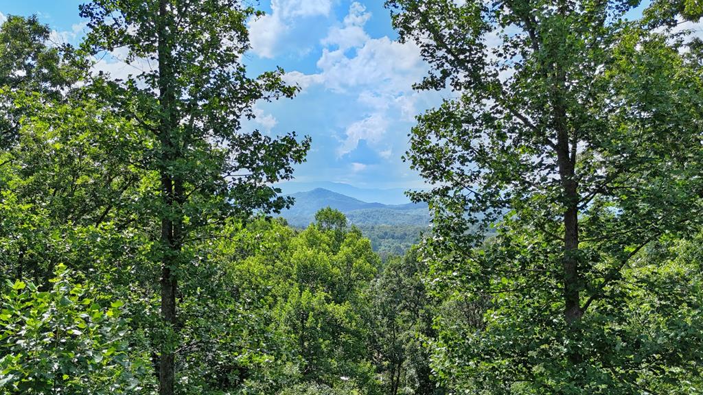 Lot 1 Christy Drive LOT 1