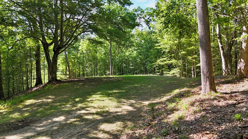 Lot 1 Christy Drive LOT 1