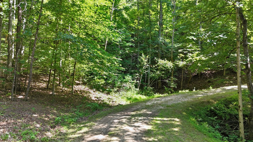 Lot 1 Christy Drive LOT 1