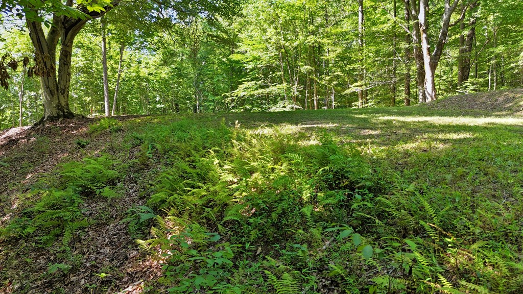 Lot 1 Christy Drive LOT 1