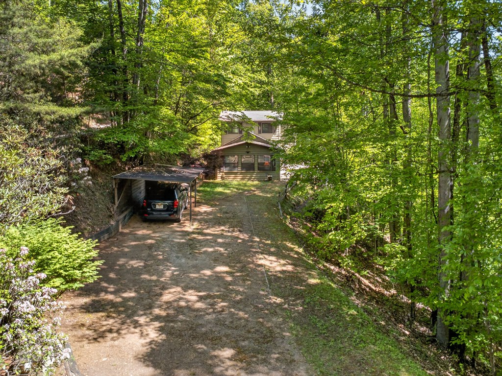 393 Echo High Rd