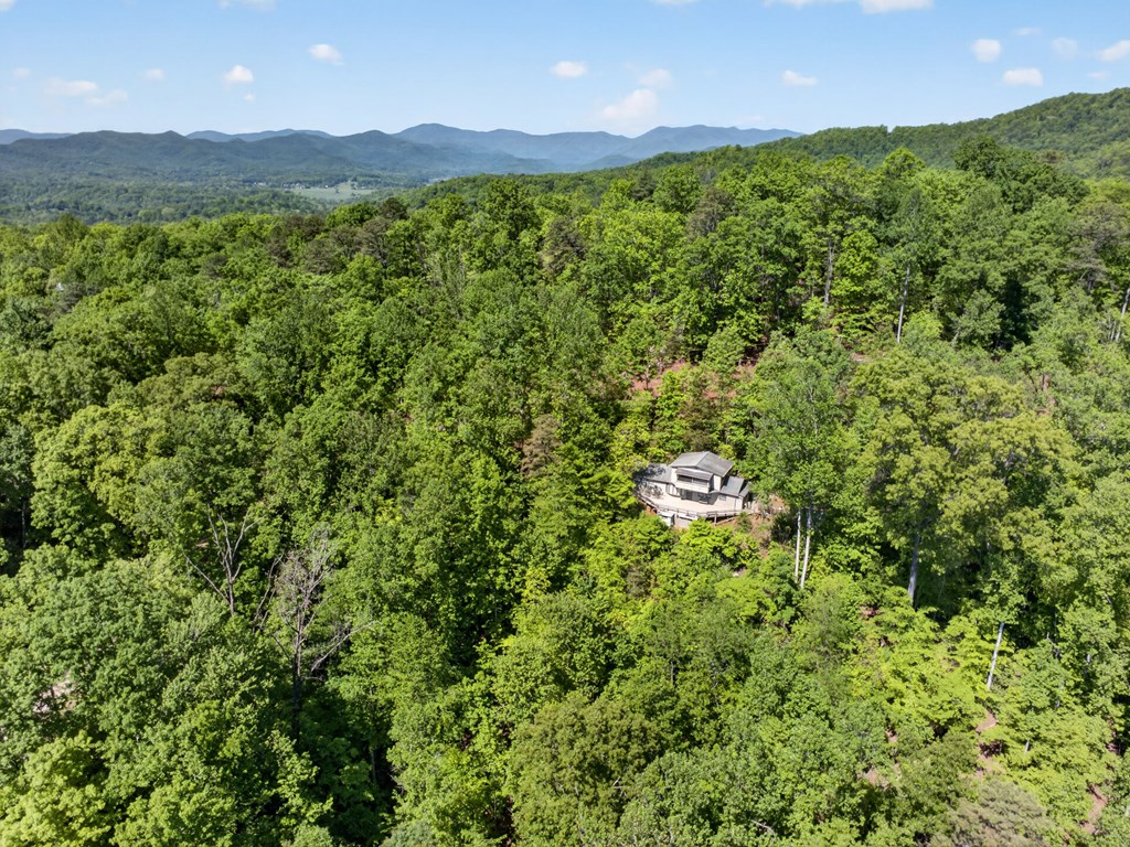 393 Echo High Rd