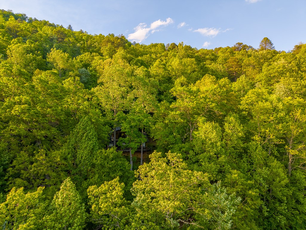 275 Mountain Laurel Drive