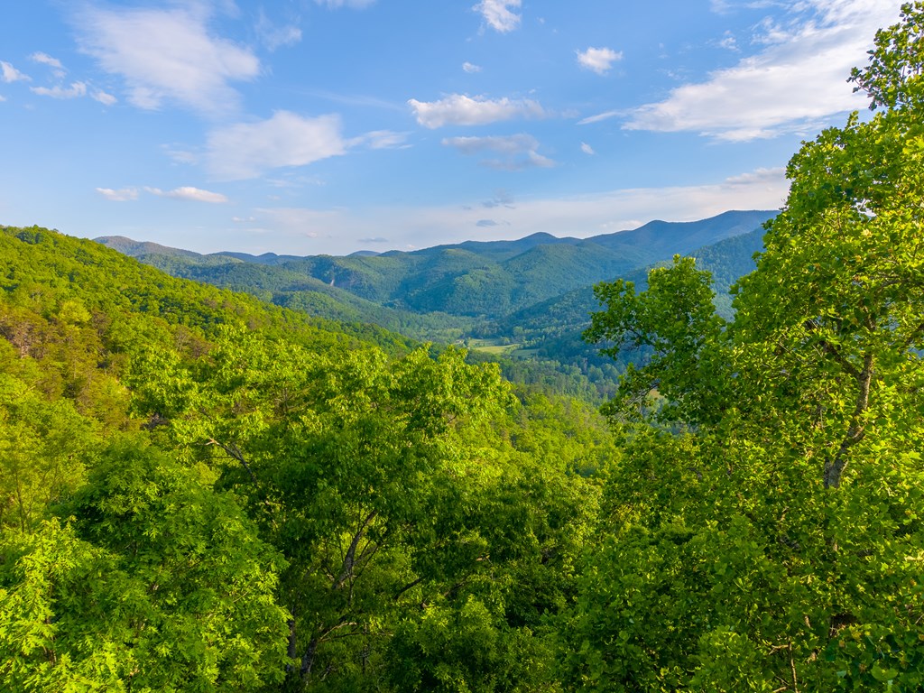 275 Mountain Laurel Drive