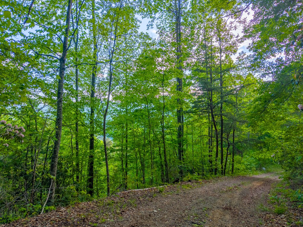 275 Mountain Laurel Drive