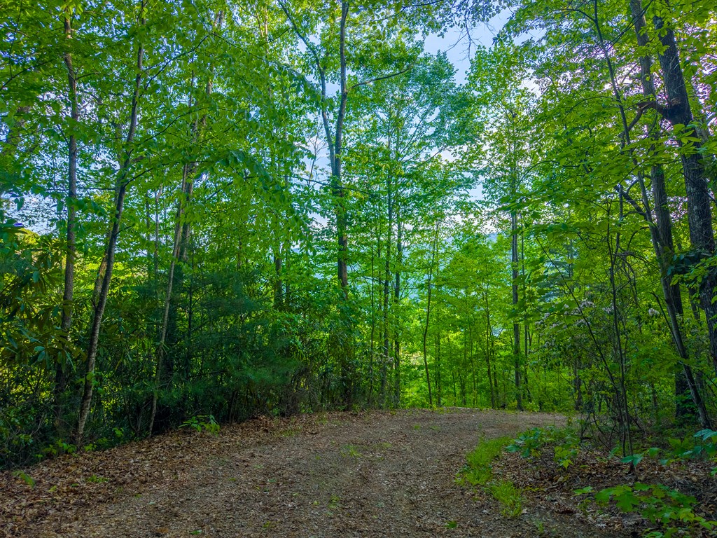 275 Mountain Laurel Drive