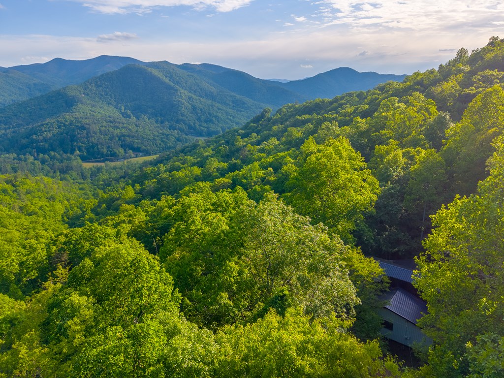 275 Mountain Laurel Drive