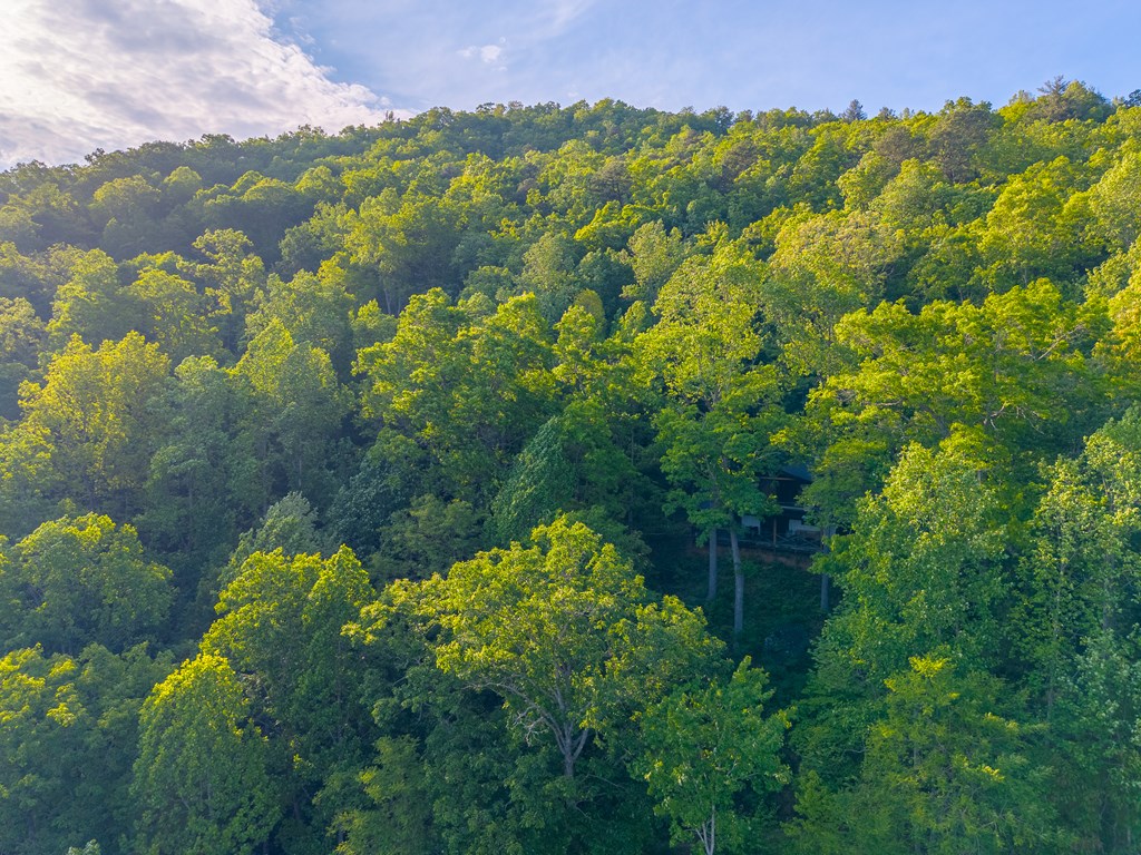 275 Mountain Laurel Drive