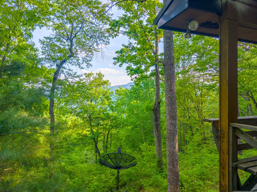 275 Mountain Laurel Drive