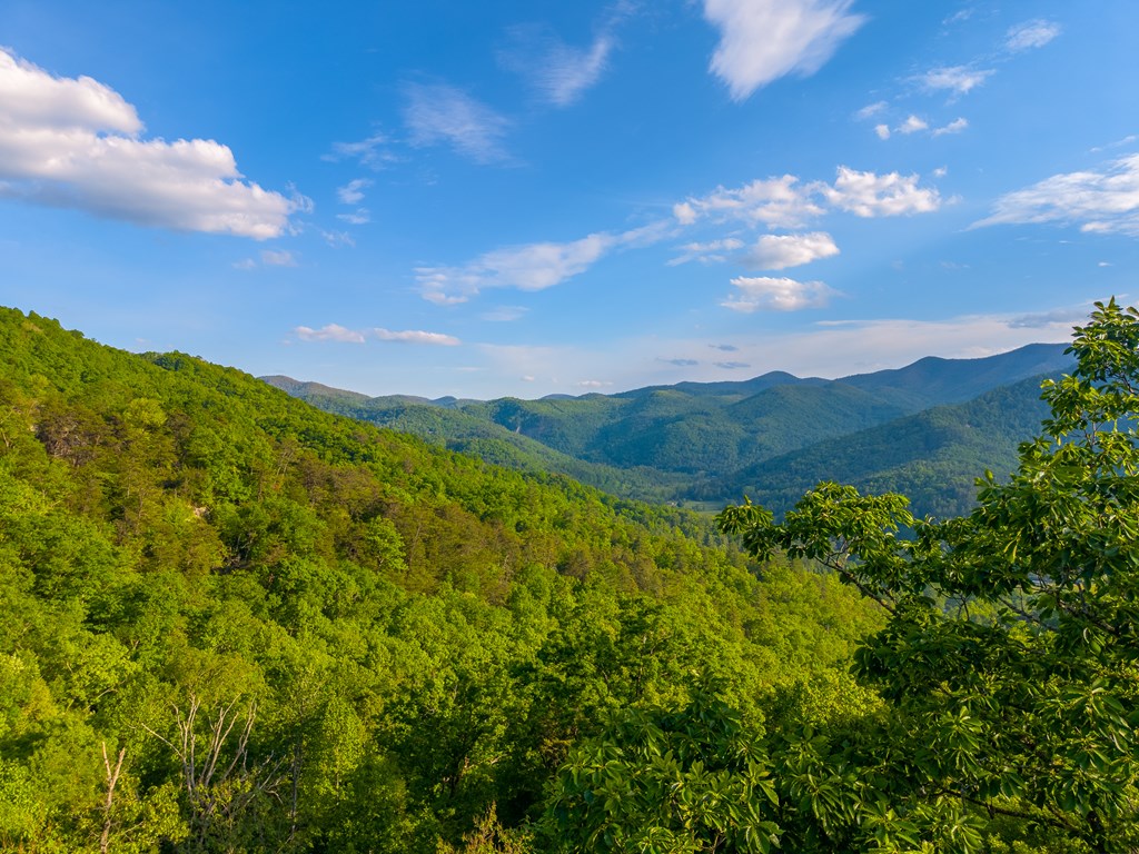 275 Mountain Laurel Drive