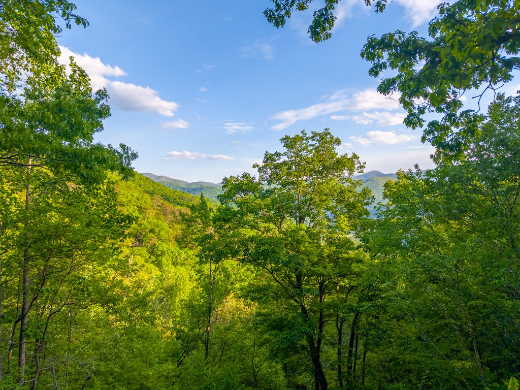 275 Mountain Laurel Drive