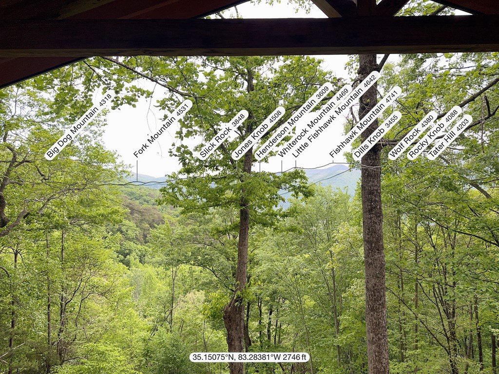275 Mountain Laurel Drive