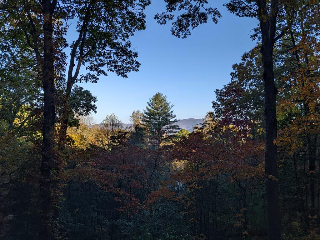 184 Pinecrest Lane
