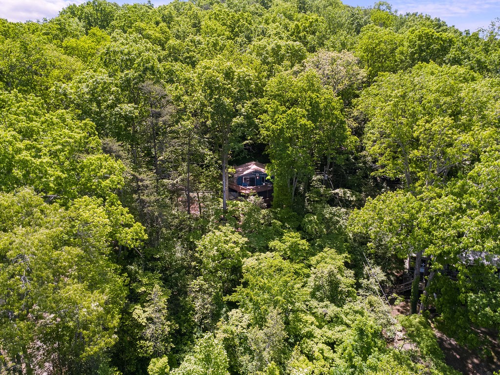 184 Pinecrest Lane