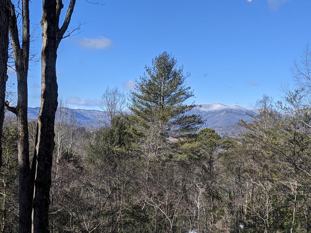 184 Pinecrest Lane