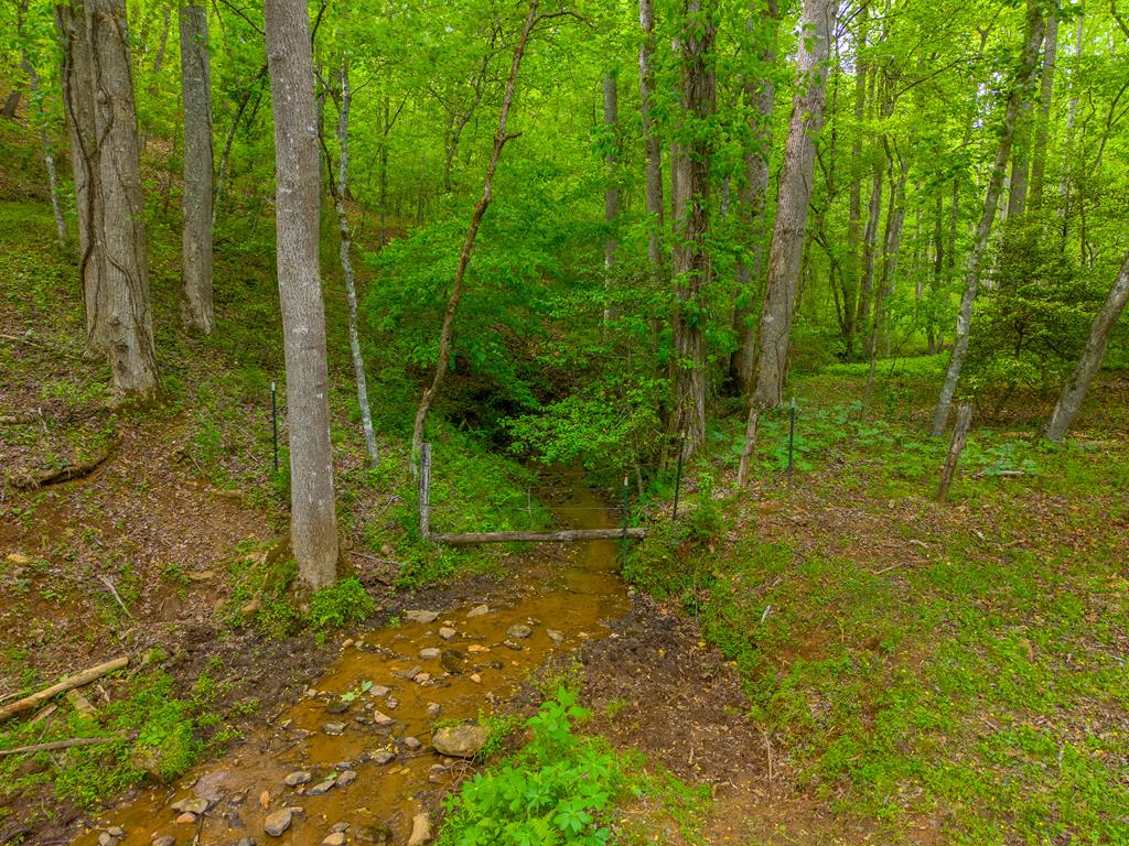 261 Tanasi Lane