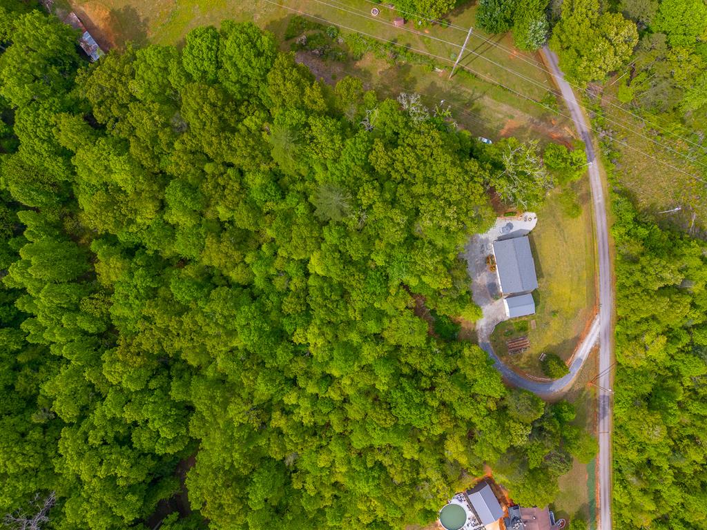 261 Tanasi Lane