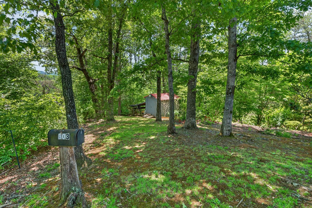 9303 Bryson City Rd