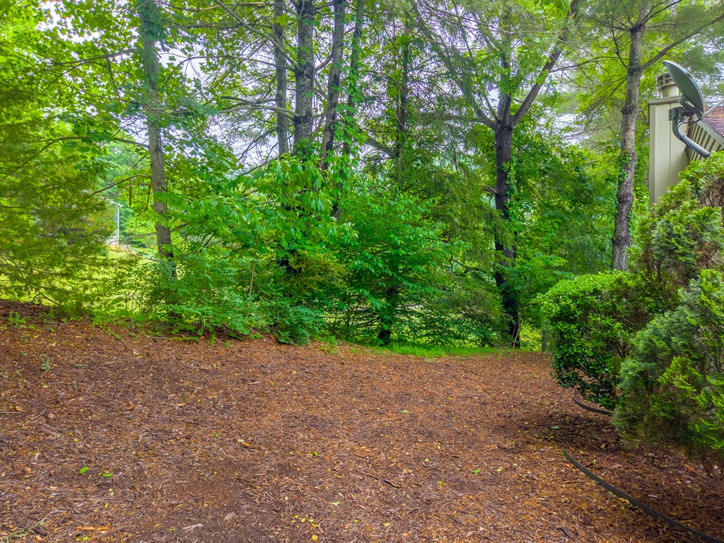 35A Mint Lake Court W