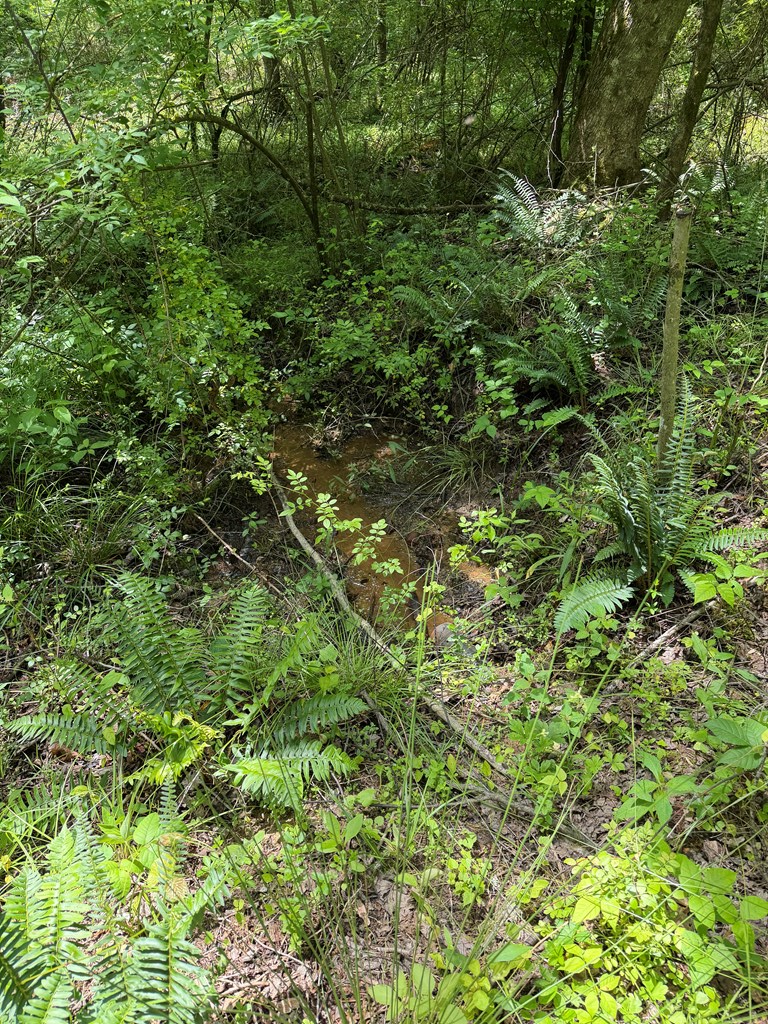 Lot 10 Hide-A-Way Ln