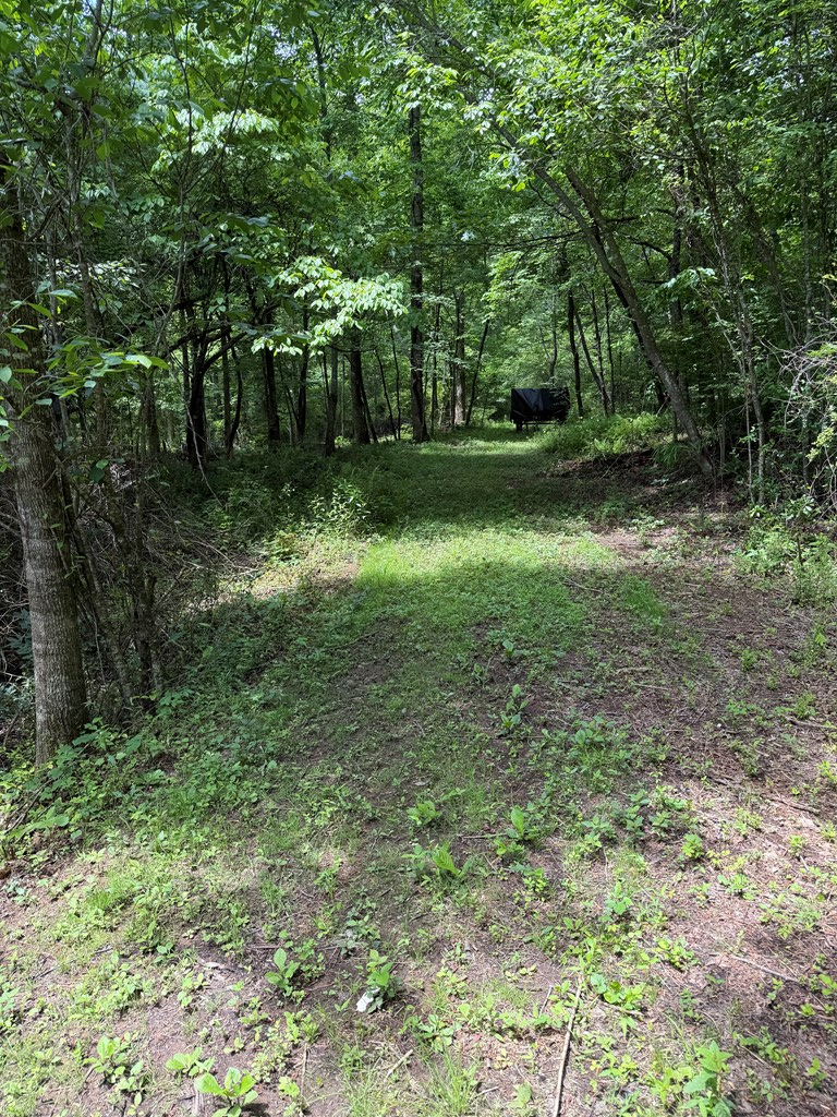 Lot 10 Hide-A-Way Ln