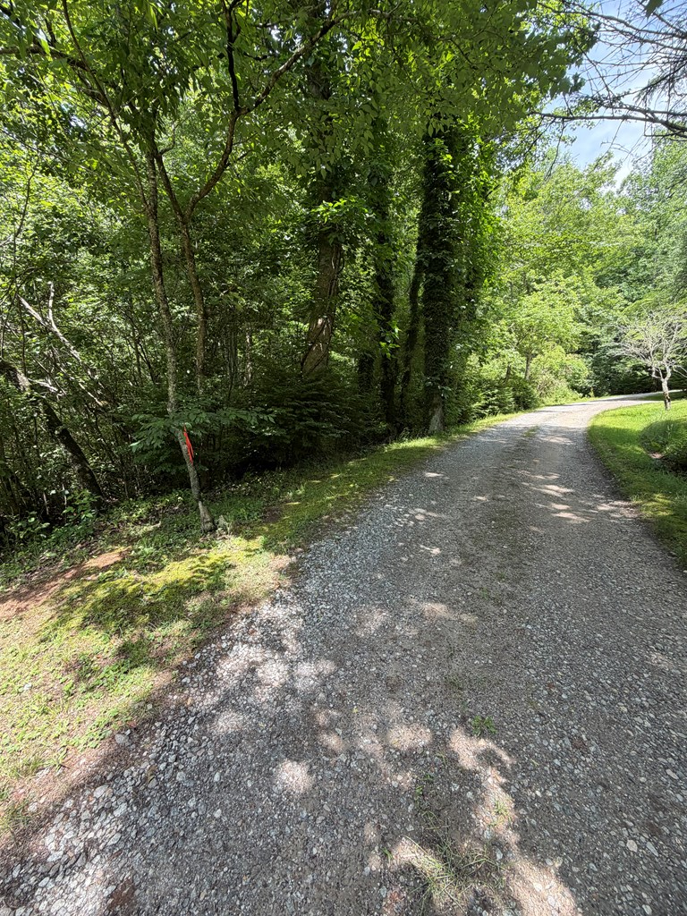 Lot 10 Hide-A-Way Ln