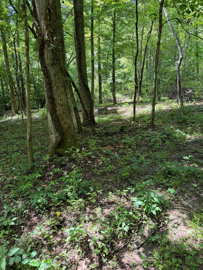 Lot 10 Hide-A-Way Ln